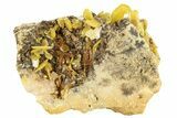 Bright Yellow Wulfenite on Dolomite - Morocco #258058-1